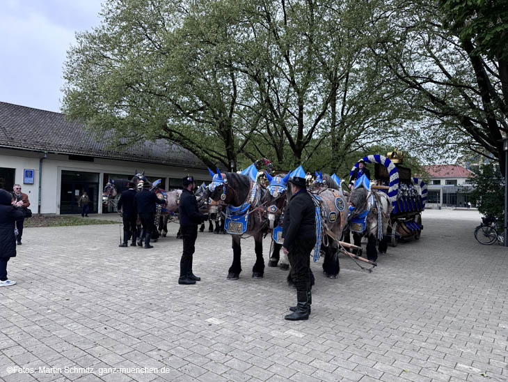 240419einzug-fruehl001