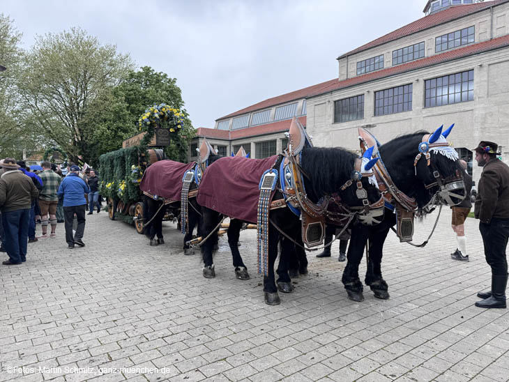 240419einzug-fruehl006