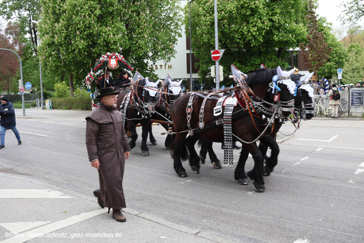 240419einzug-fruehl037