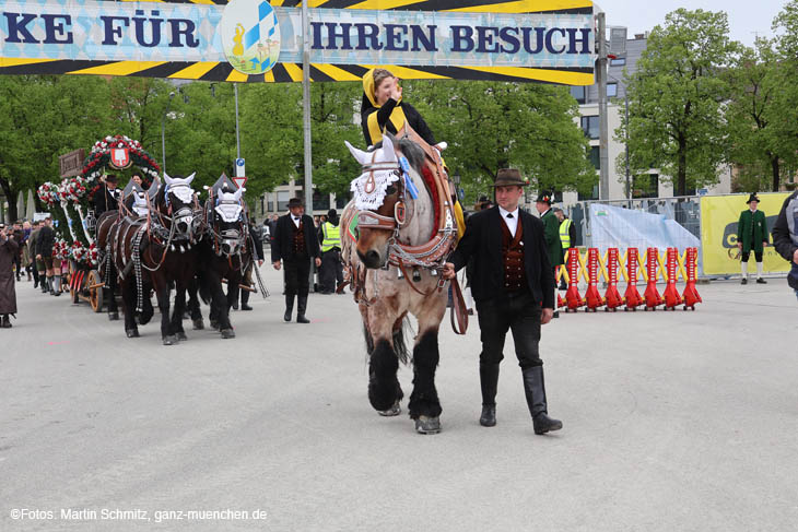240419einzug-fruehl047
