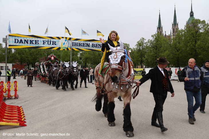 240419einzug-fruehl048