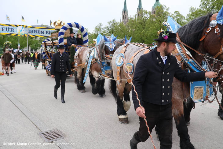 240419einzug-fruehl051