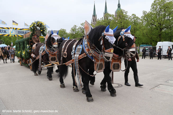 240419einzug-fruehl054