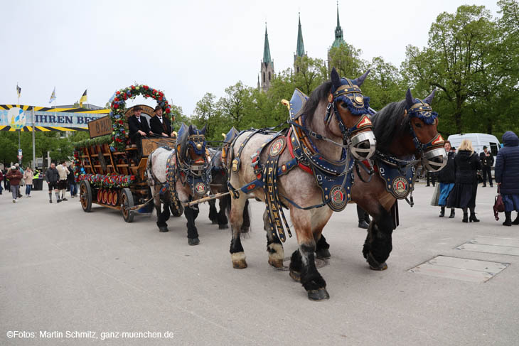 240419einzug-fruehl056