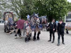 240419einzug-fruehl002