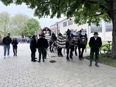 240419einzug-fruehl005