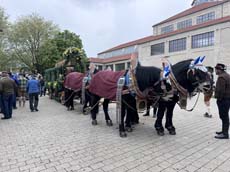 240419einzug-fruehl006