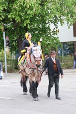 240419einzug-fruehl034