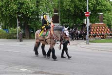 240419einzug-fruehl035