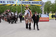 240419einzug-fruehl047