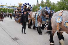 240419einzug-fruehl052