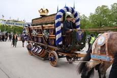 240419einzug-fruehl053