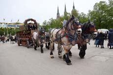 240419einzug-fruehl056