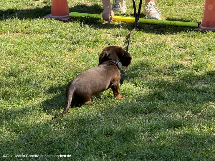 240811sommerfest-oly007