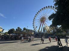 240811sommerfest-oly009