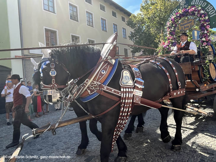 220813dachau-einzug065