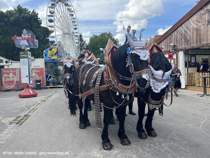 Impressionen Anstich & Impressionen Dachauer Volksfest 2022 / 220813dachau-volksf045 ©Fotos: Martin Schmitz 