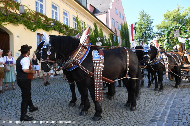 240810ig-dachauer-vf001