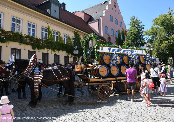 240810ig-dachauer-vf002