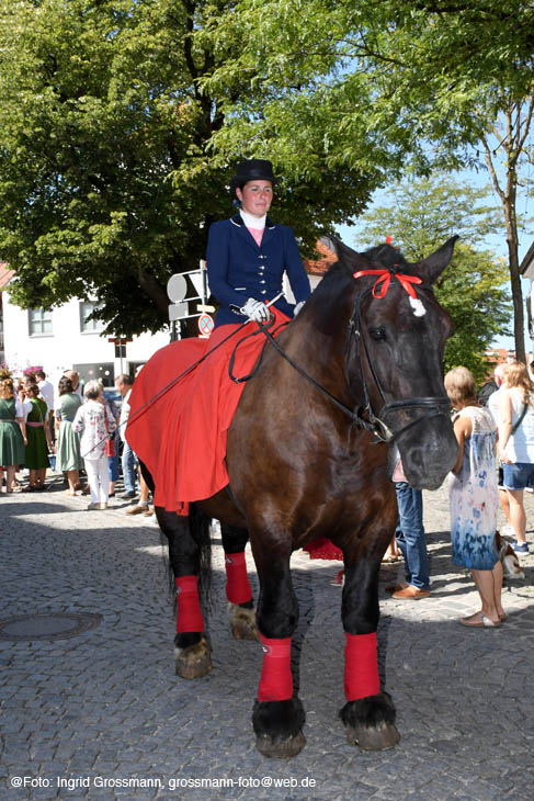 240810ig-dachauer-vf016