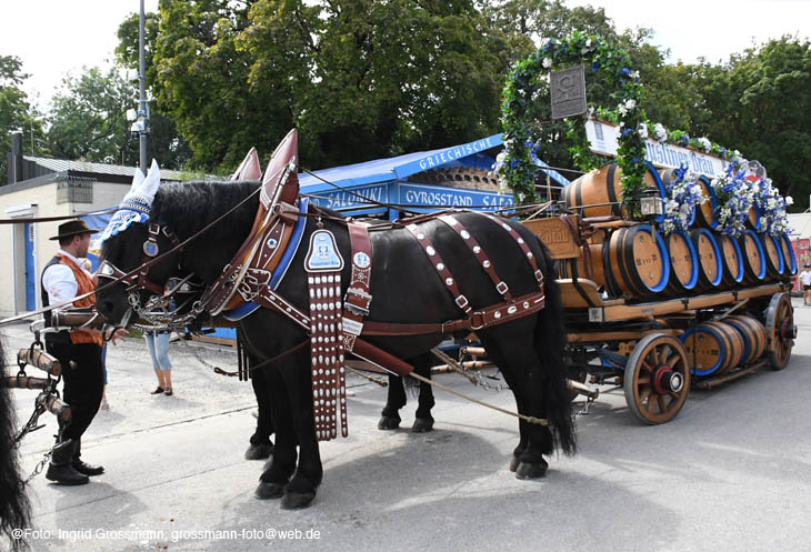 240810ig-dachauer-vf043