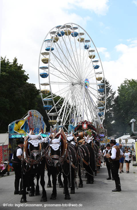 240810ig-dachauer-vf044