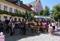 240810ig-dachauer-vf002