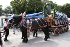 240810ig-dachauer-vf043