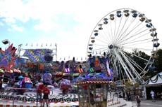 240810ig-dachauer-vf052