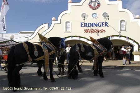 050826erding_1fest007