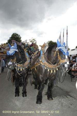 050826erding_2fest176