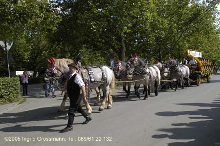 050826erding_einzug15