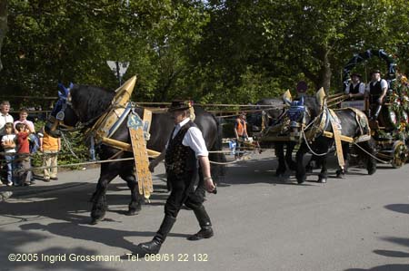 050826erding_einzug44