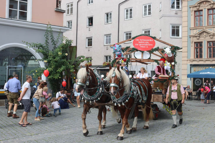 220827rosenheim-umzug064